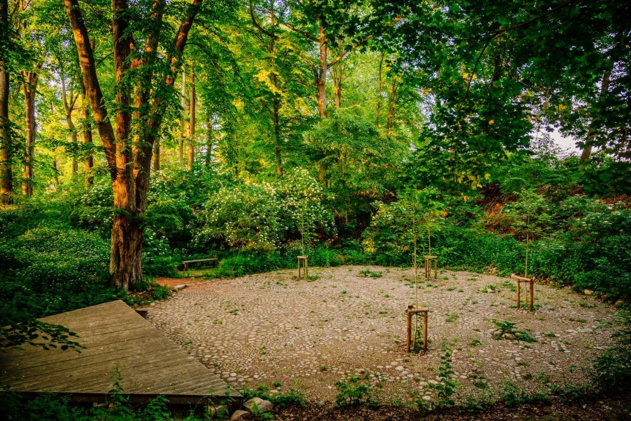 Gut Boltenhof Fürstenberg-Havel Extérieur photo